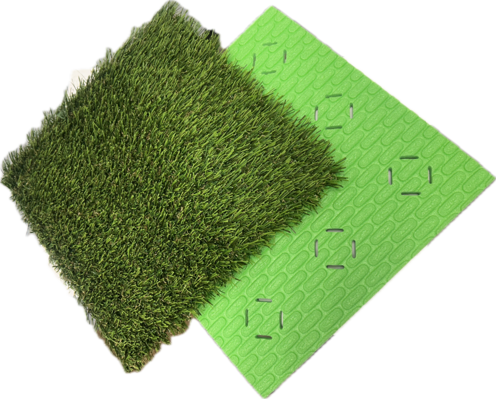 ShockPal Sports with Turf and Punch Visible - Transparent